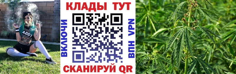 Где купить наркотики Николаевск Каннабис МЕТАМФЕТАМИН MEGA ТОР COCAIN Альфа ПВП Мефедрон
