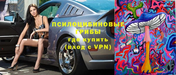ГАЛЛЮЦИНОГЕННЫЕ ГРИБЫ Алексин