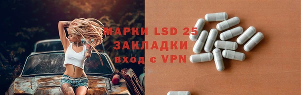 ГАЛЛЮЦИНОГЕННЫЕ ГРИБЫ Алексин