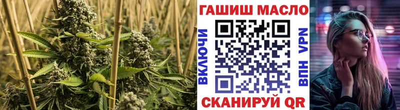 где купить наркотик  Николаевск  Дистиллят ТГК концентрат 