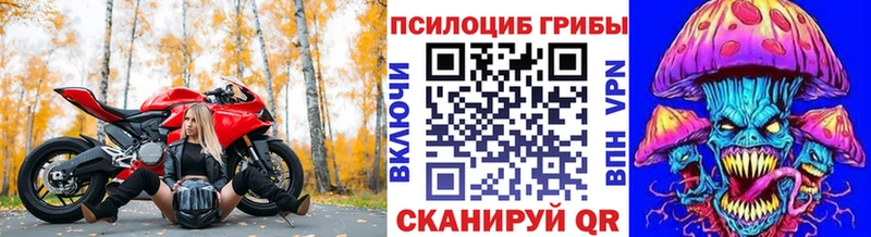 Галлюциногенные грибы Cubensis  Николаевск 